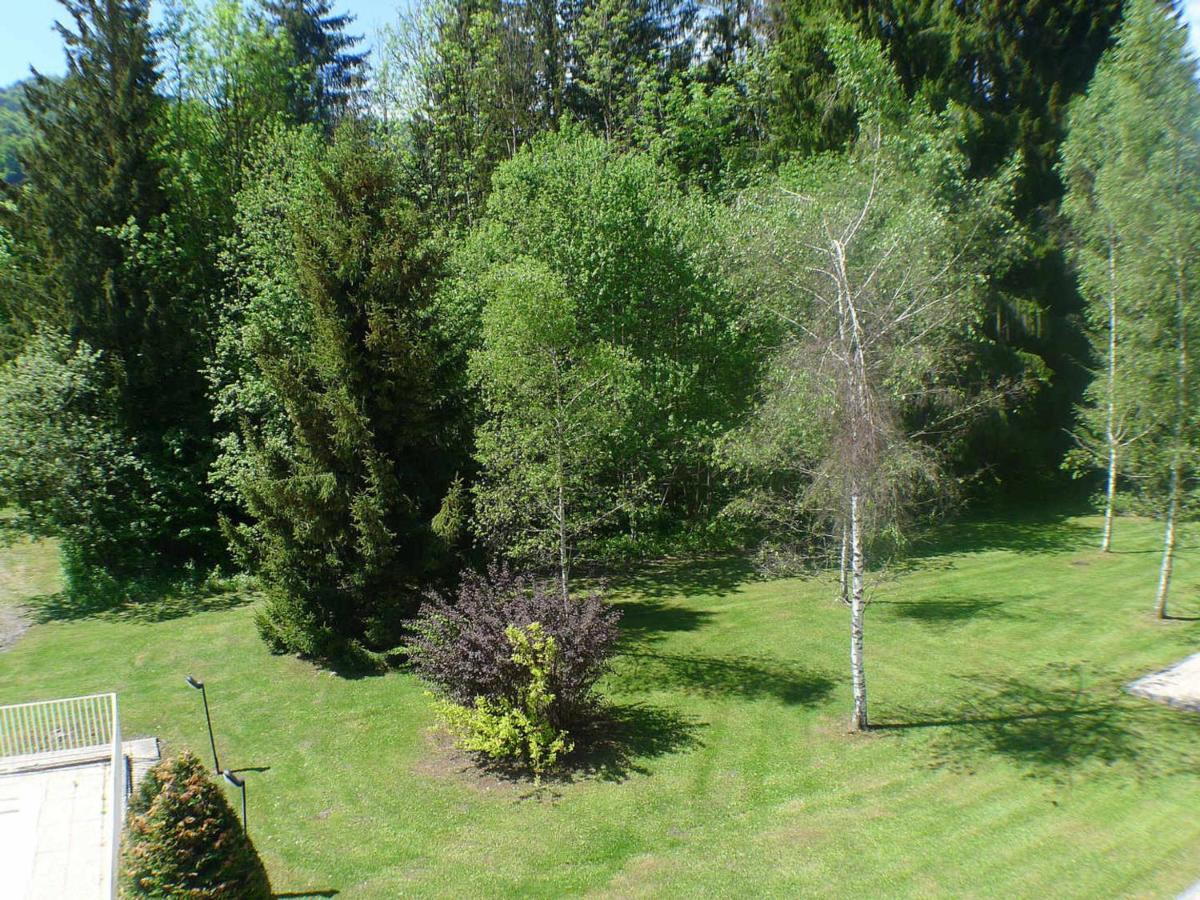 Studio Mansarde Avec Balcon, Piscine Et Parking Souterrain A Samoens - Fr-1-629-92 ภายนอก รูปภาพ